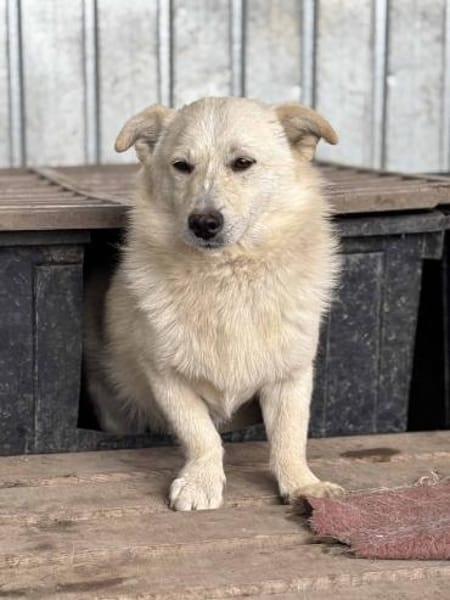 Filu, der kleine Eisbär 🐾