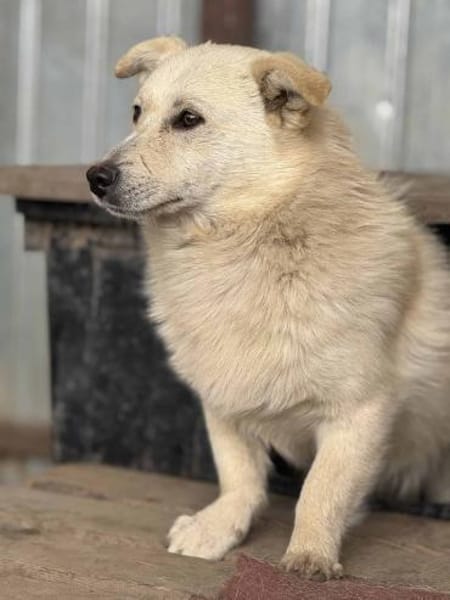 Filu, der kleine Eisbär 🐾