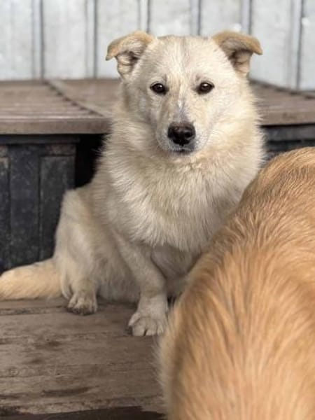 Filu, der kleine Eisbär 🐾