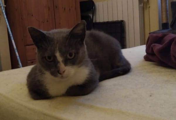 ANA'BELLE (réservée)