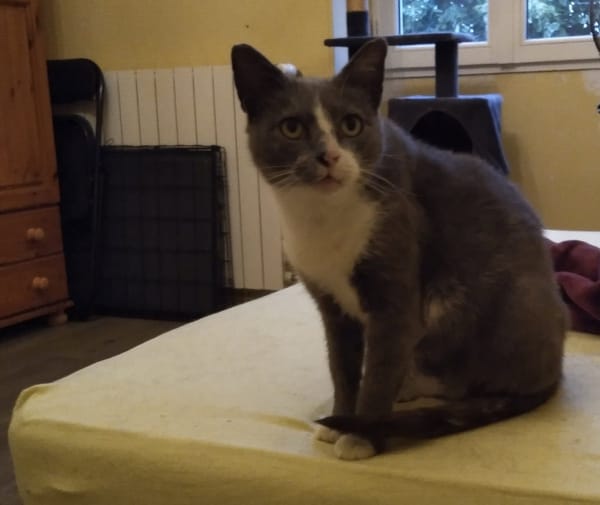 ANA'BELLE (réservée)