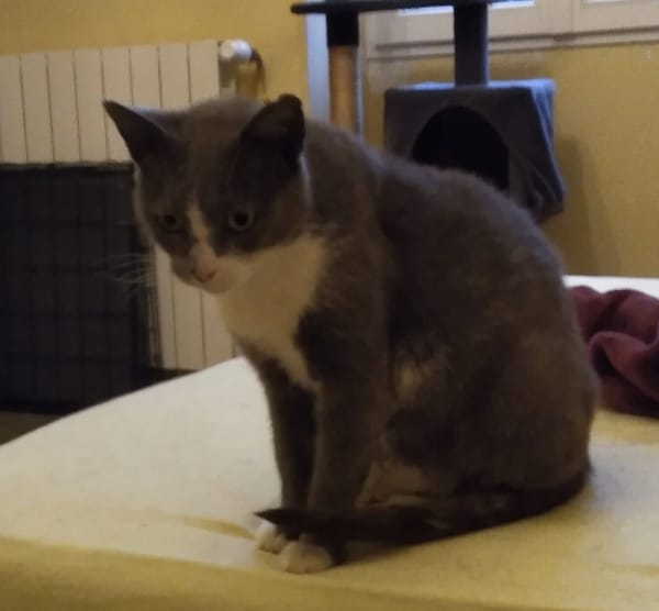 ANA'BELLE (réservée)