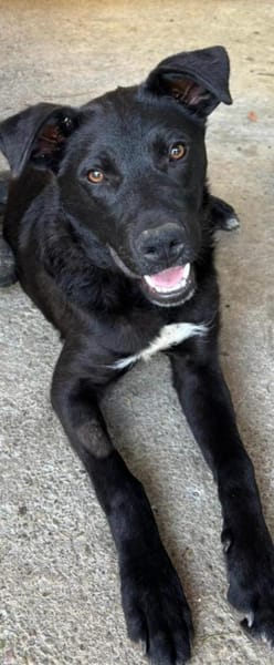 Sportliche Mary sucht ein Zuhause