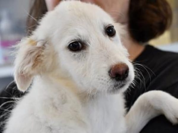 Darf Isa zu Ihnen gehören?