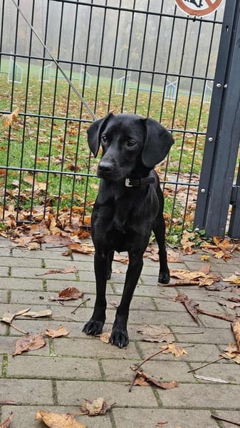 Charles, charmant und lebensfroh