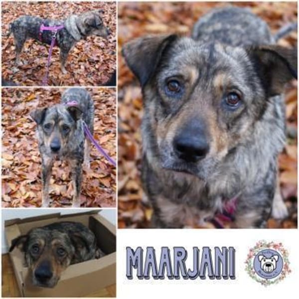 MAARJANIN * Charmante Persönlichkeit