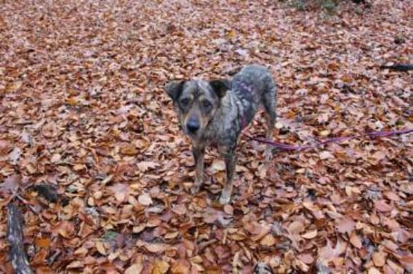 MAARJANIN * Charmante Persönlichkeit