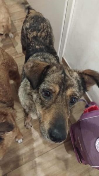 MAARJANIN * Charmante Persönlichkeit