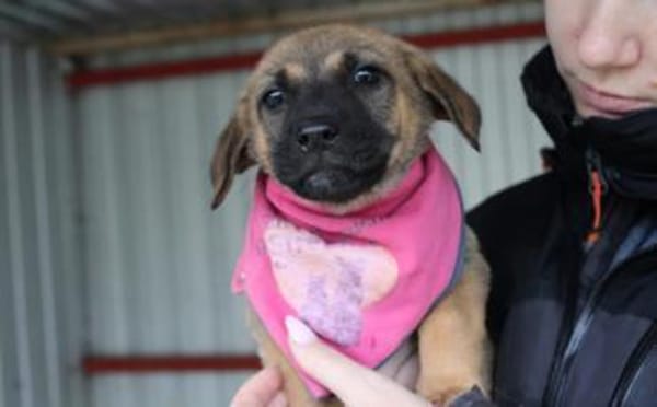 And the winner is: Chantal