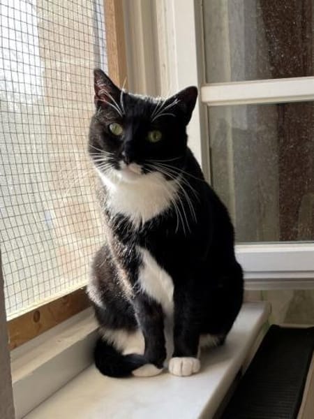 TONJA & MAXI - Traumpaar sucht Zuhause