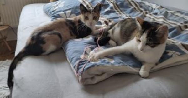 Patsy und Paula- unzertrennlich 💕