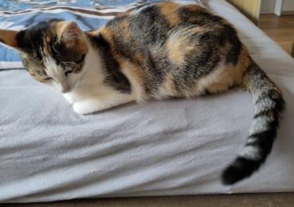 Patsy und Paula- unzertrennlich 💕