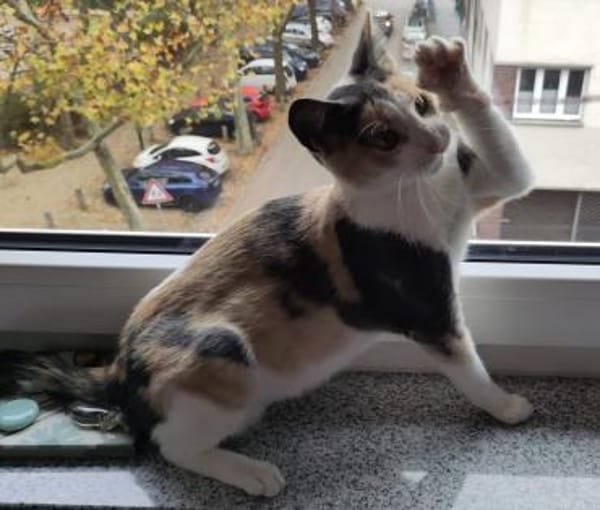 Patsy und Paula- unzertrennlich 💕