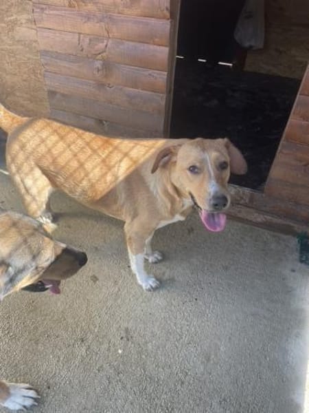 Die liebevolle Gina sucht Dich