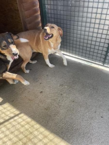 Die liebevolle Gina sucht Dich