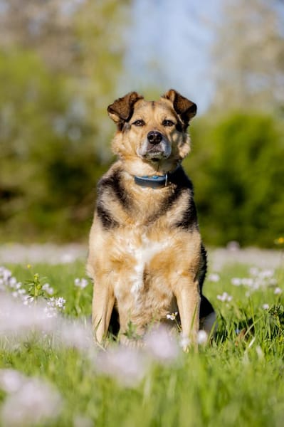 Mimi - 76189 Karlsruhe