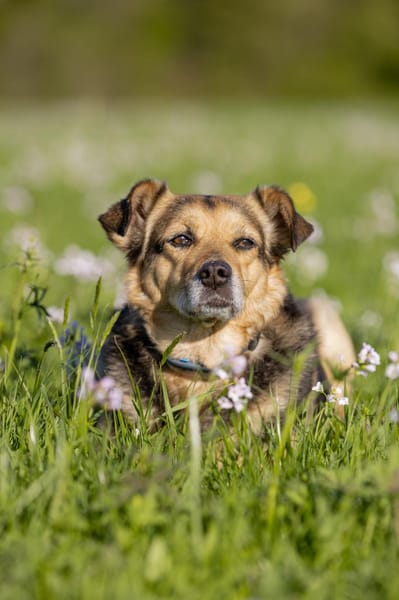 Mimi - 76189 Karlsruhe