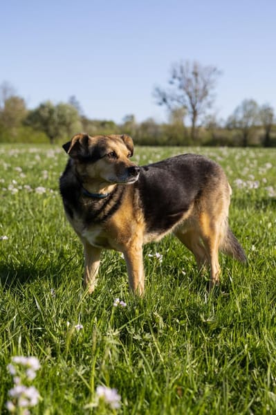 Mimi - 76189 Karlsruhe