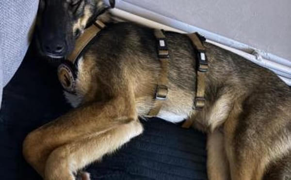 Azizam träumt von seiner eigenen Familie