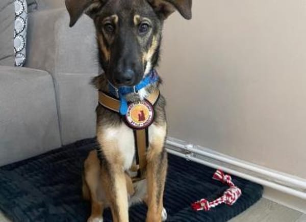 Azizam träumt von seiner eigenen Familie