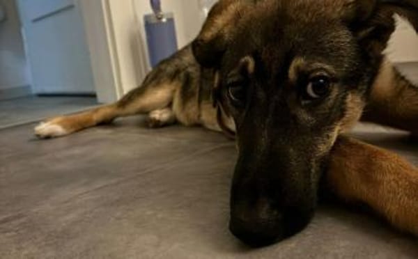 Azizam träumt von seiner eigenen Familie