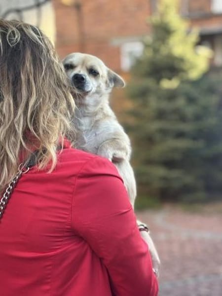 Eine kleine liebe Hündin