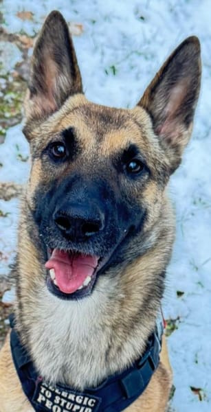 Xena vermißt -IHREN- Menschen