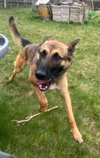 Xena vermißt -IHREN- Menschen