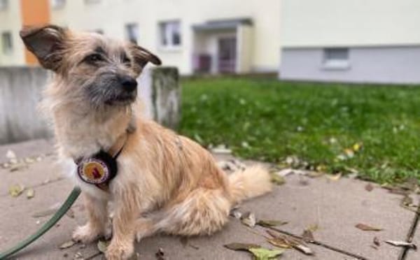 Ylwie ist ein echter Hauptgewinn