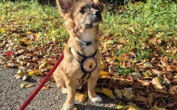 Möchtest du Roya kennenlernen?