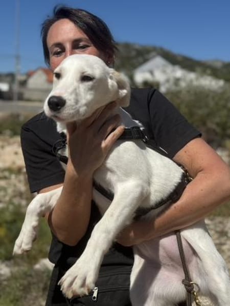 Die fröhliche Mali sucht ihr Zuhause