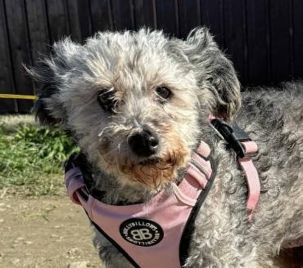 Lotti möchte mit dir zusammen alt werden