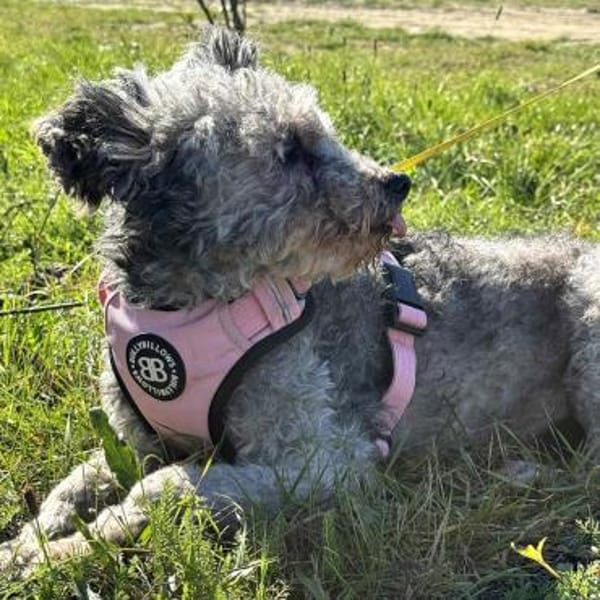 Lotti möchte mit dir zusammen alt werden