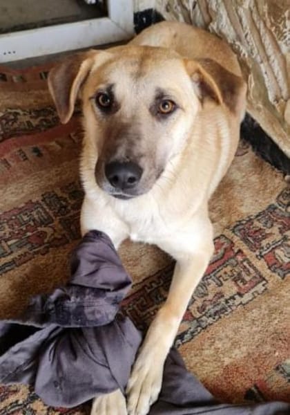 Kyra hübsche Lady sucht Anschluss