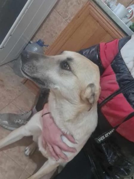 Kyra hübsche Lady sucht Anschluss