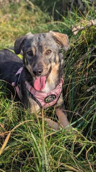 Naty möchte mit dir die Welt entdecken