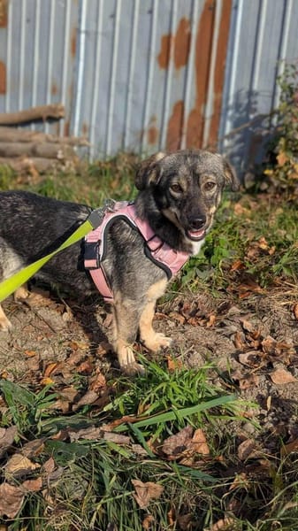 Naty möchte mit dir die Welt entdecken