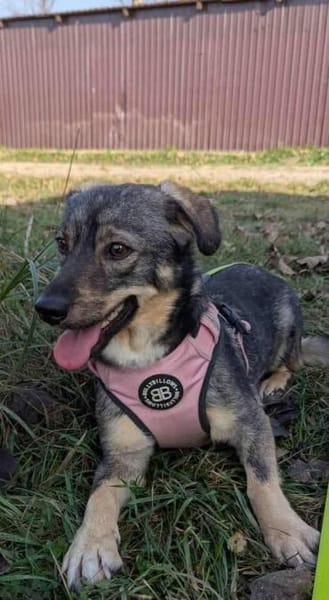 Naty möchte mit dir die Welt entdecken