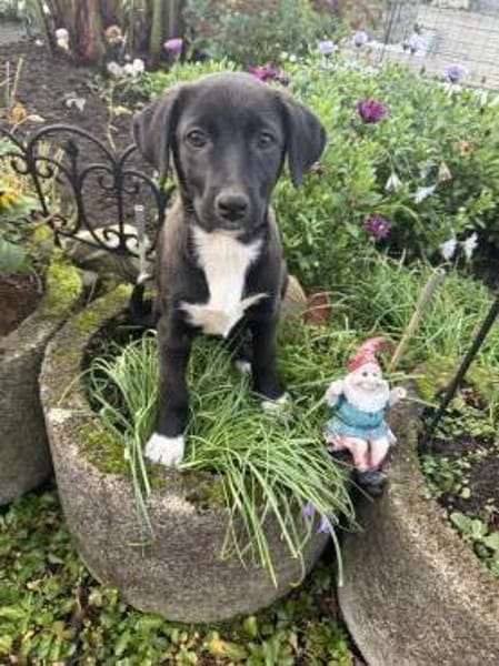 Maya ein liebes Mädchen