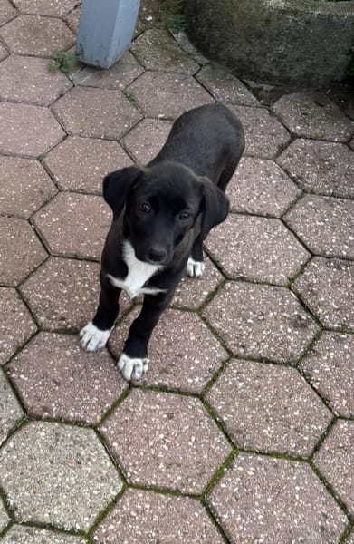 Maya ein liebes Mädchen