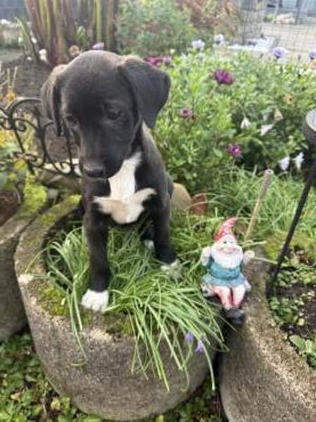 Maya ein liebes Mädchen