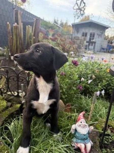 Maya ein liebes Mädchen