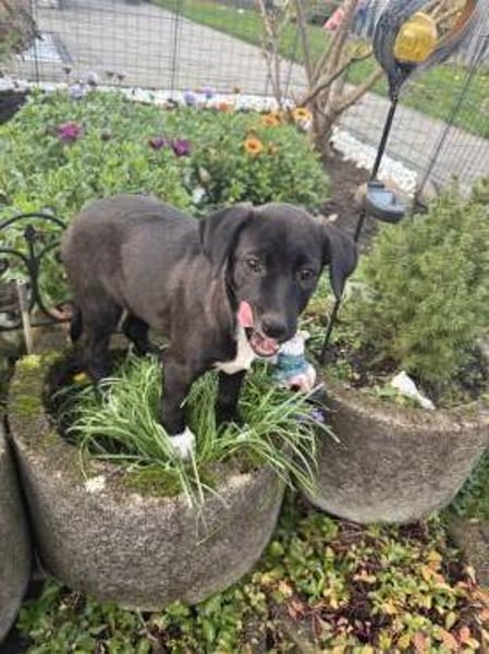 Maya ein liebes Mädchen