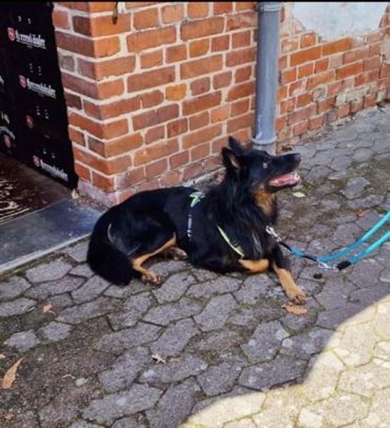 Herr Hüter su. aktives Zuhause