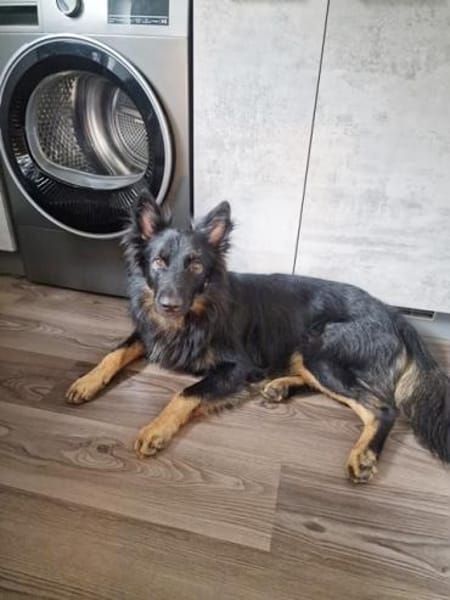 Herr Hüter su. aktives Zuhause