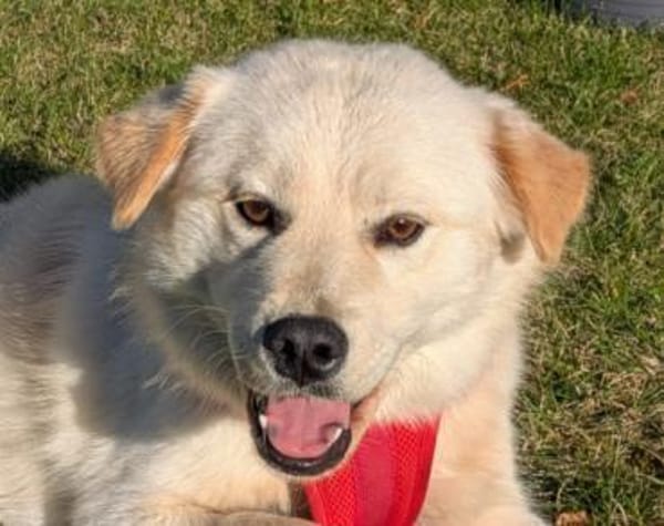 Cindy 💗 wartet in 12529 Schönefeld