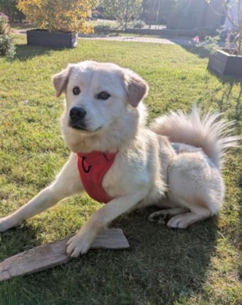 Cindy 💗 wartet in 12529 Schönefeld