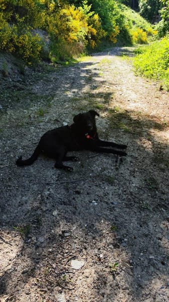 BAGHEERA - täglich fördern und fordern