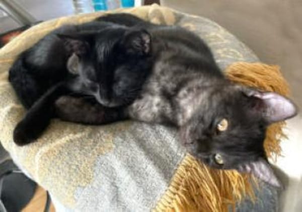 ANNA&TOM  - wie Yin und Yang