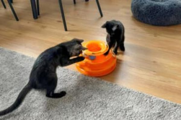 ANNA&TOM  - wie Yin und Yang